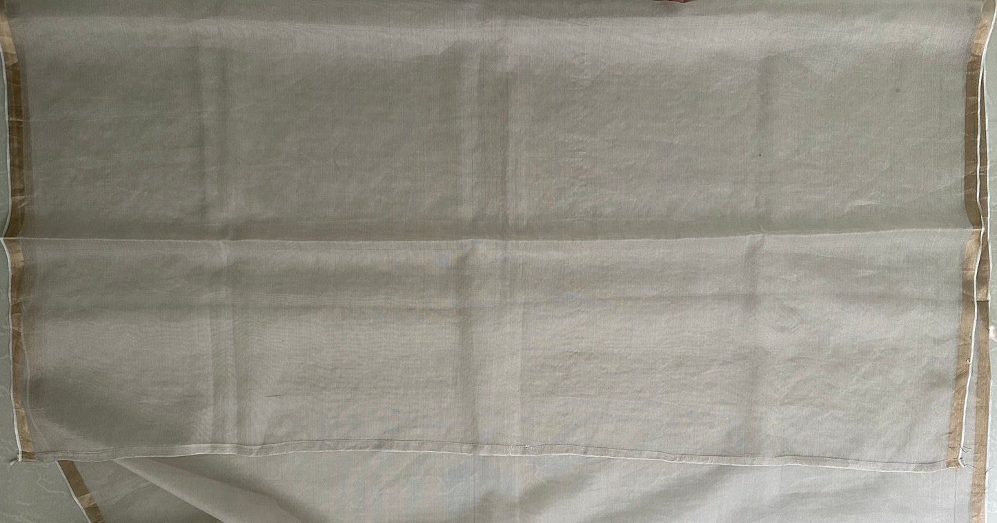 White Tissue Floral Skirt Border Embroidery Saree